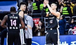 天涯爆料杨鸣视频播放全集,杨鸣视频全集揭秘，精彩瞬间一网打尽