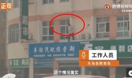 德辉学校爆料视频大全集,揭秘校园风云录